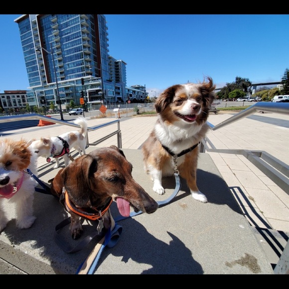 Meet your Posher, Allison - Picture 7 of 8